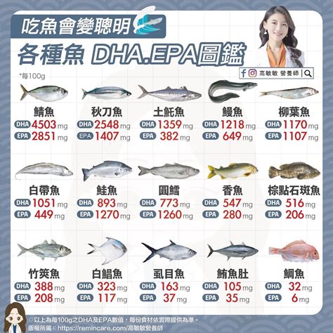 魚類價格排行 哭穴